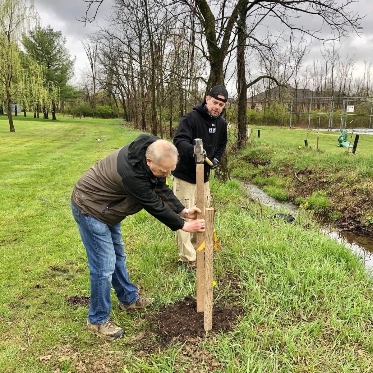 man putting in stakes for trees