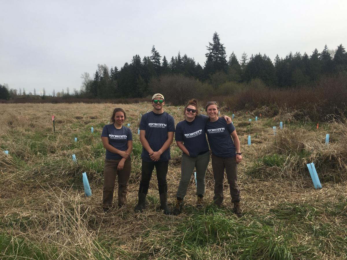 4 Planters standing in field of newly planted trees