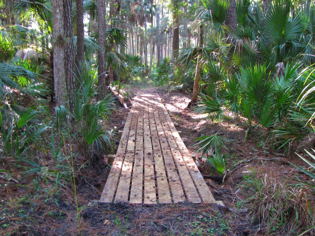 Seminole state forest