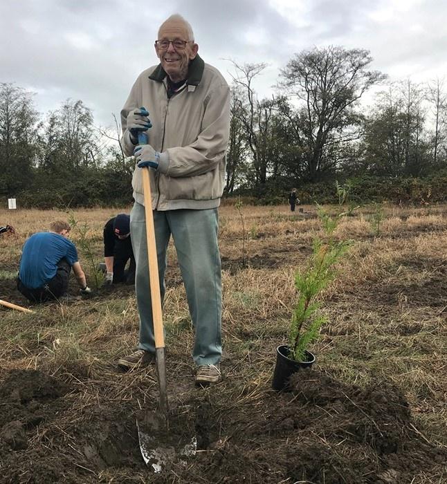 Man with shovel digging hole to plant a tree