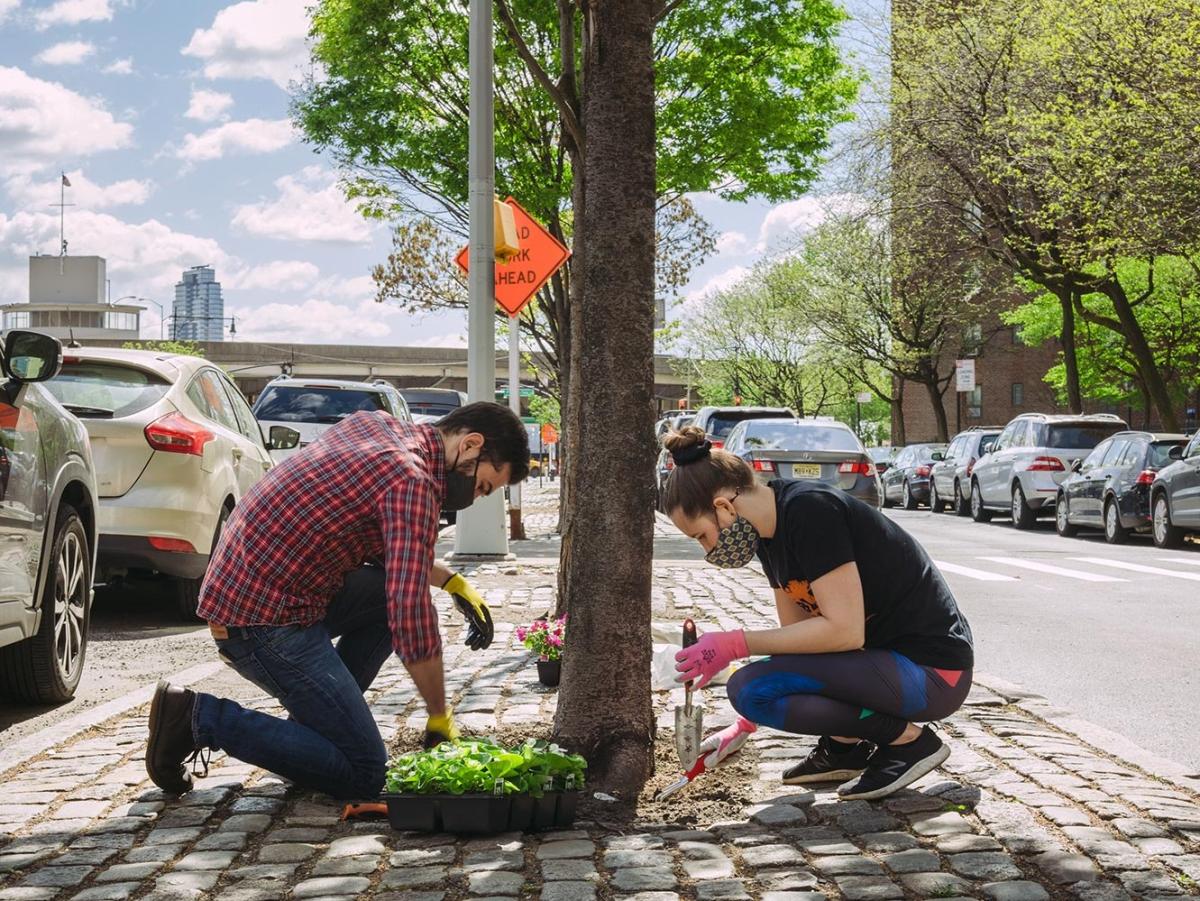 A man and woman plant flowers on either side of a tree in an urban setting. 