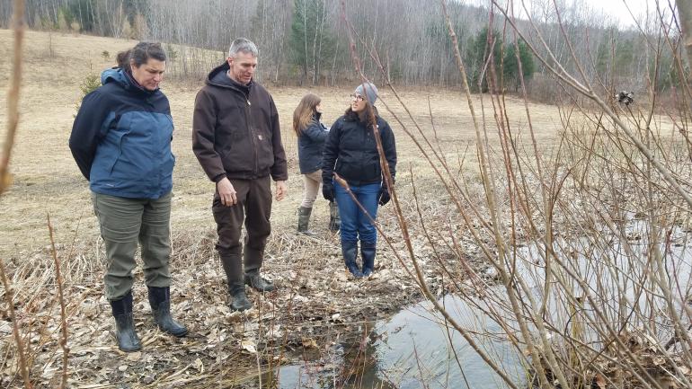 3 folks survey area along creek