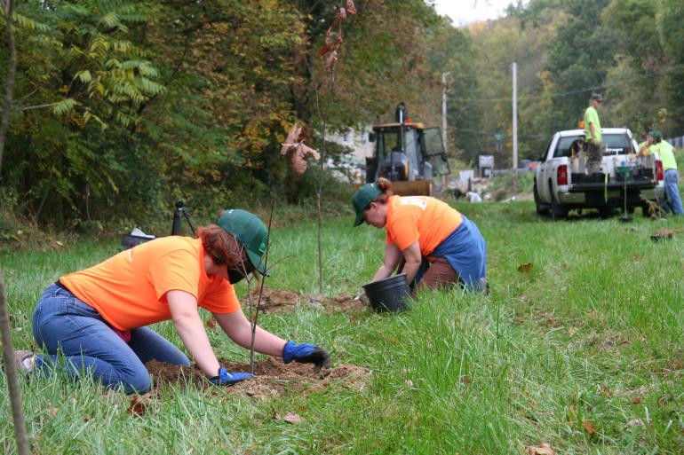 People in orange shirts planting trees