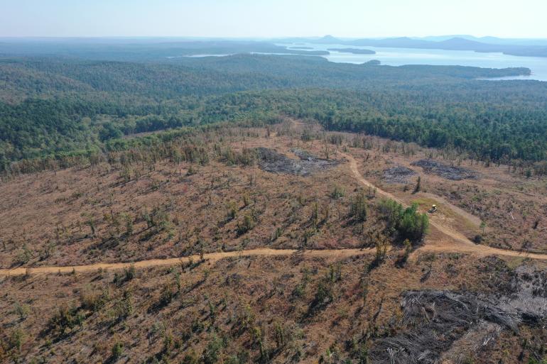 Picture of planting area in Wye Mountain, Arkansas