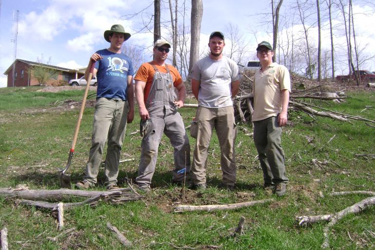 Tree establishment program