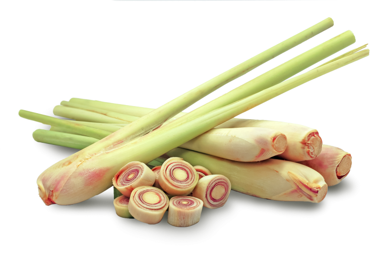 Lemongrass