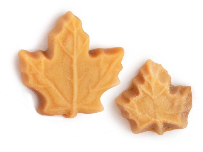Two Maple Candy Pieces