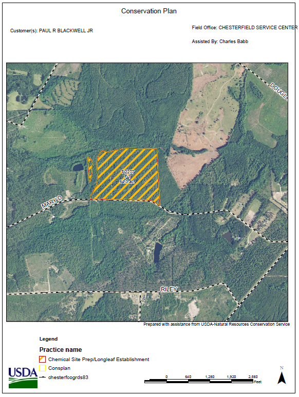 SC planting area