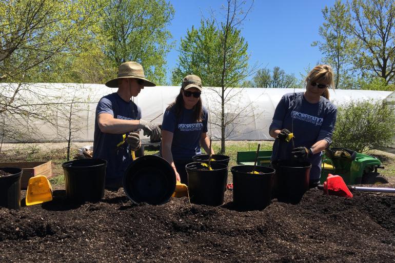 Volunteers potting trees