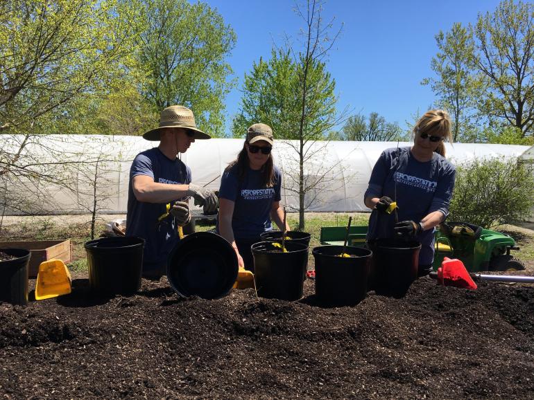 One Tree Planted folks potting trees