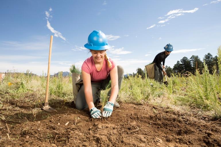 A woman planting a sapling in the soil