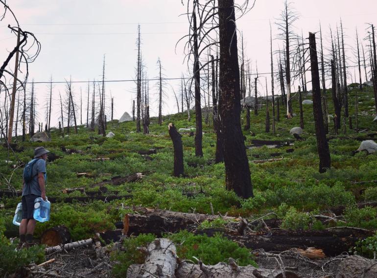 tahoe fire devastation