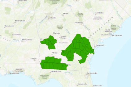 Map of Georgia showing 37 southern counties where planting will take place. 